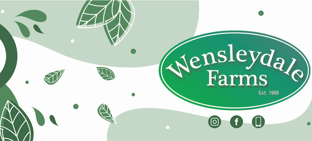 main-banner